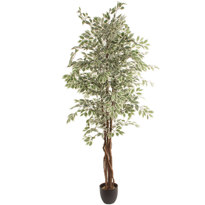 Planta artificial FICUS 2.20m